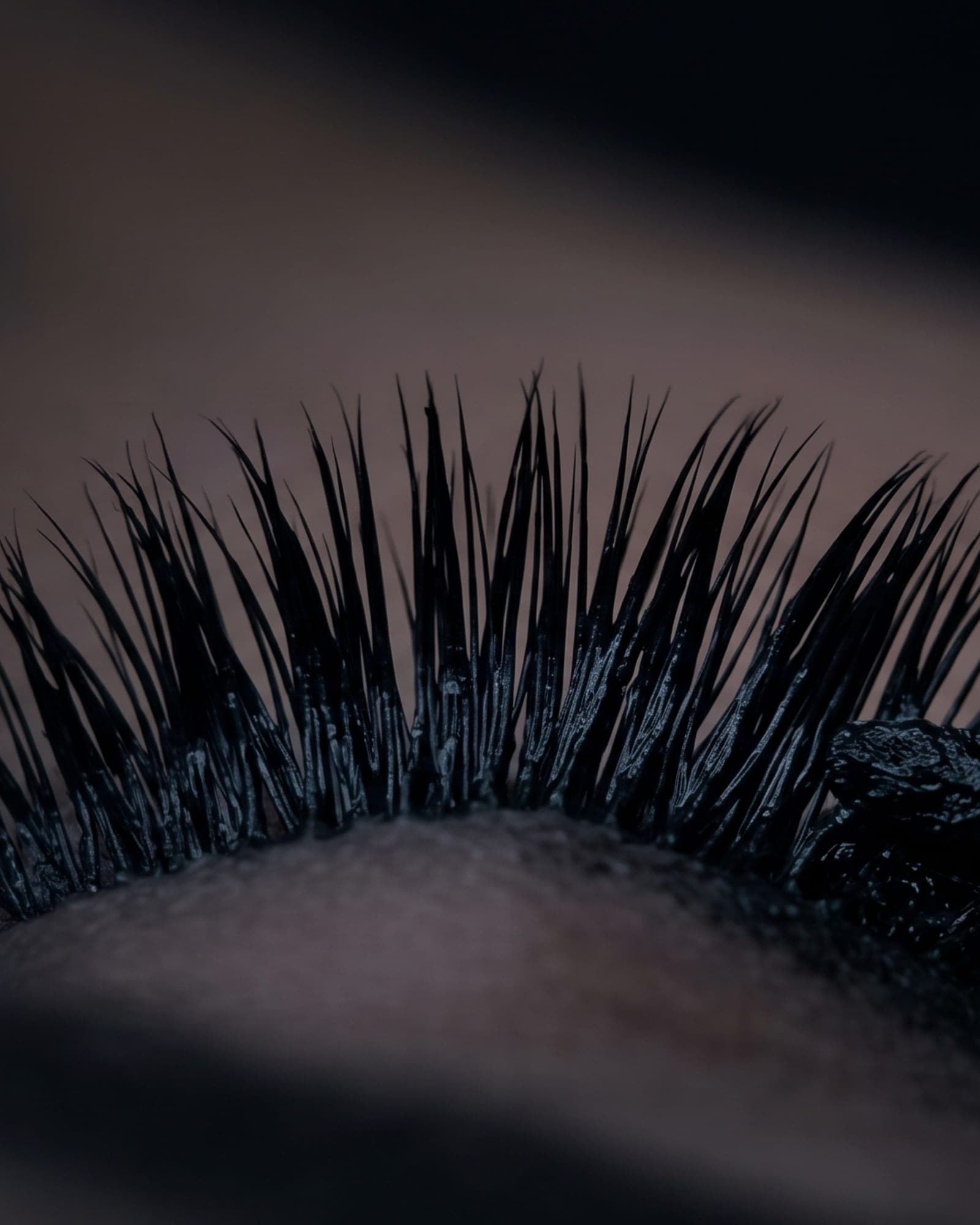 Close-up of tinted lashes after a Lash Tint treatment at The Spa on Phillips